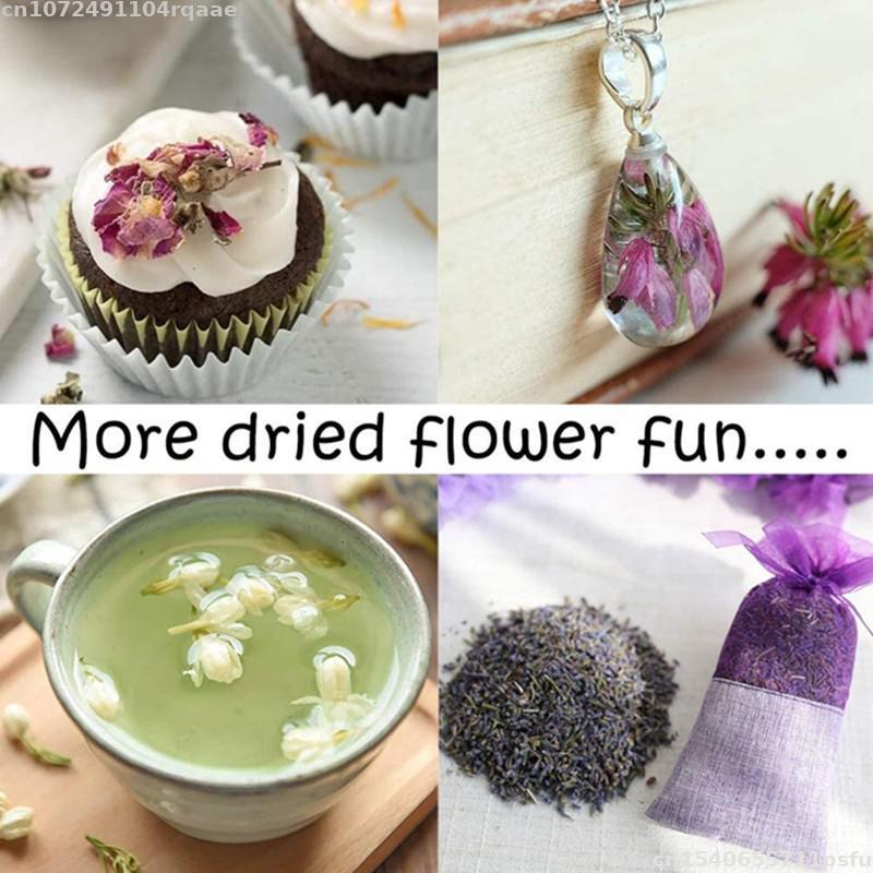 100% Natural Dried Flowers Bra - Candle Making Material Wholesale 评论和价格