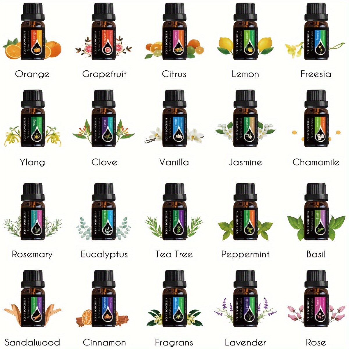 20Pcs/Set Classic Brand Essent - Candle Making Scents 评论和价格